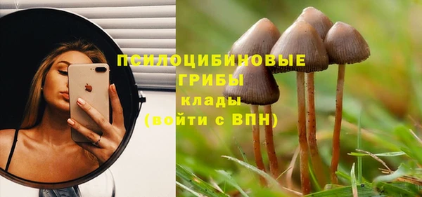 прущие крисы Арсеньев