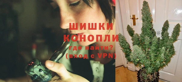 прущие крисы Арсеньев