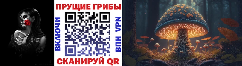 kraken как войти  Голицыно  Псилоцибиновые грибы MAGIC MUSHROOMS 